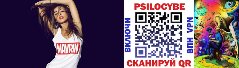 MEGA рабочий сайт  даркнет Telegram  Псилоцибиновые грибы Psilocybe  Томмот 