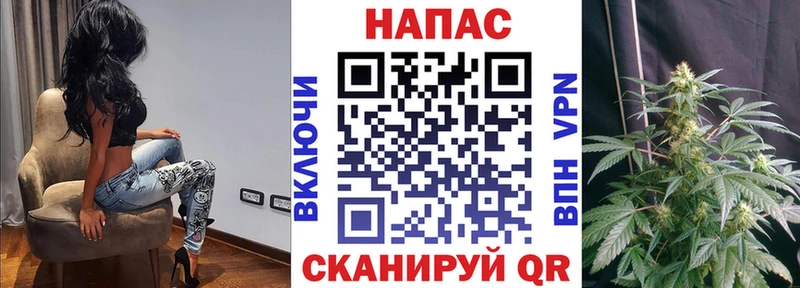 Конопля ГИДРОПОН наркошоп Томмот